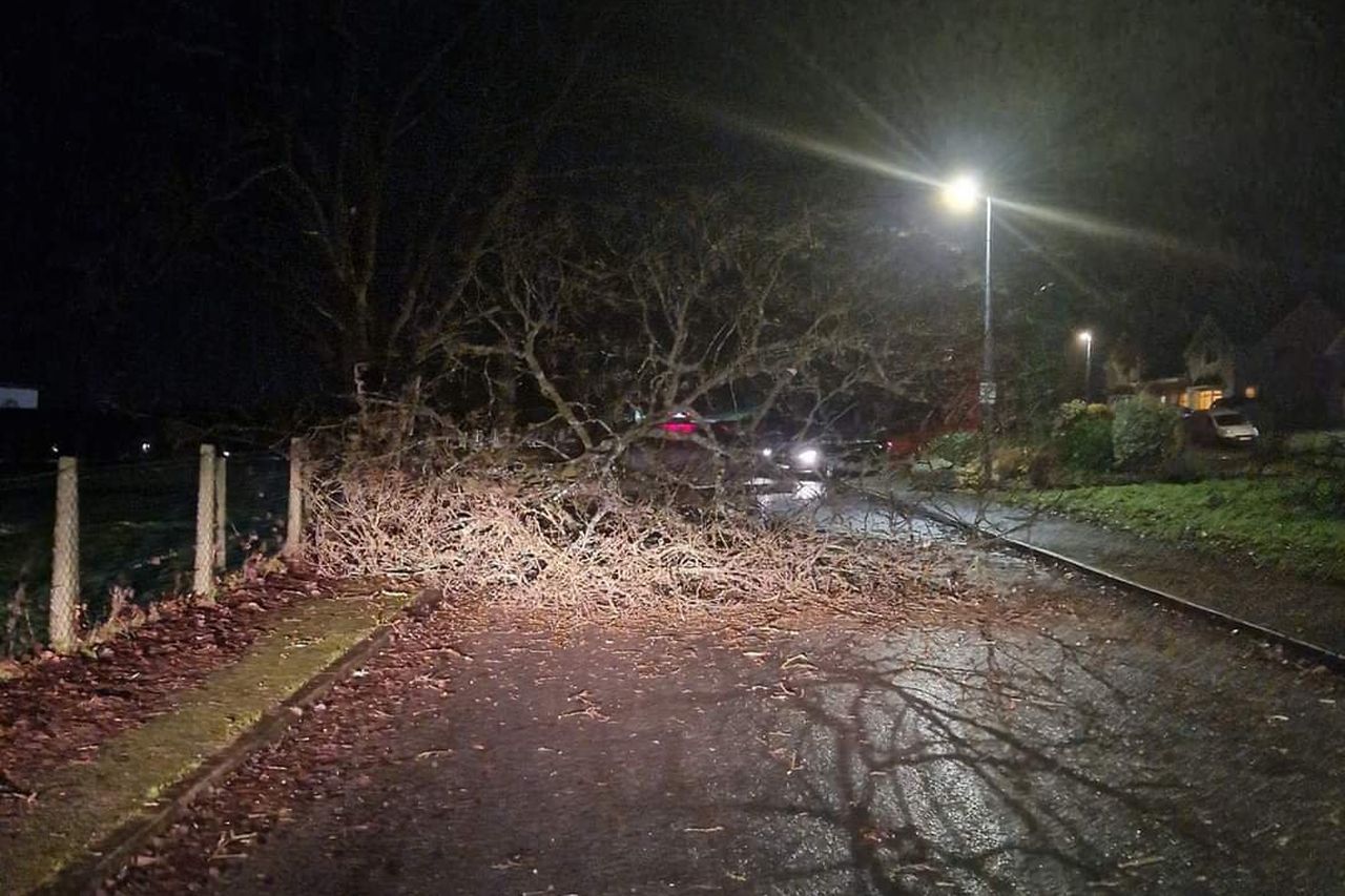 Trees Down, Power Out And People Advised To Stay Home As Storm Isha ...